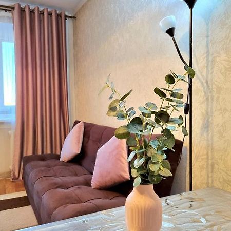 Apartment На Стрелке С Красивым Видом На Иртыш Ust-Kamenogorsk Ngoại thất bức ảnh