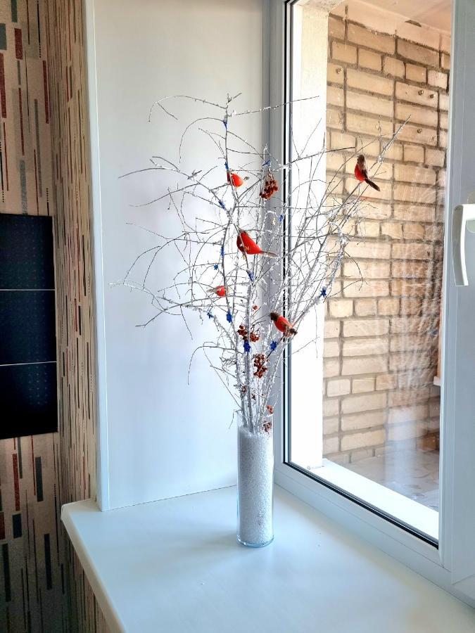 Apartment На Стрелке С Красивым Видом На Иртыш Ust-Kamenogorsk Ngoại thất bức ảnh
