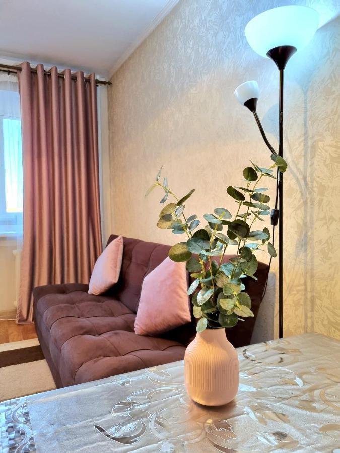 Apartment На Стрелке С Красивым Видом На Иртыш Ust-Kamenogorsk Ngoại thất bức ảnh
